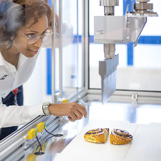 Laboratory experiments on cutting a poppy seed roll